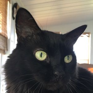 Meet your Posher, Jackie